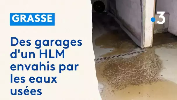 Des garages d'un HLM envahis par les excréments et les urines à Grasse