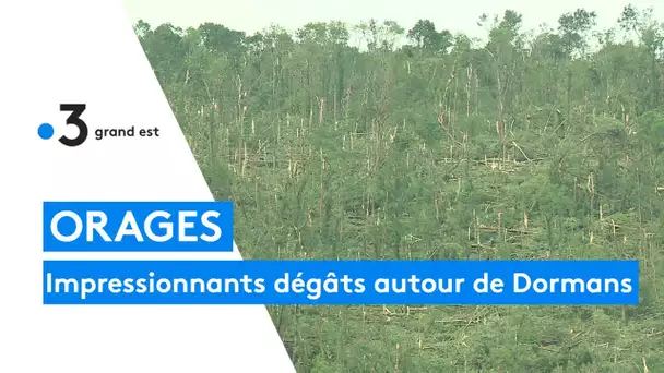 Les impressionnants dégâts du côté de Dormans suite à la tempête du 19 juin