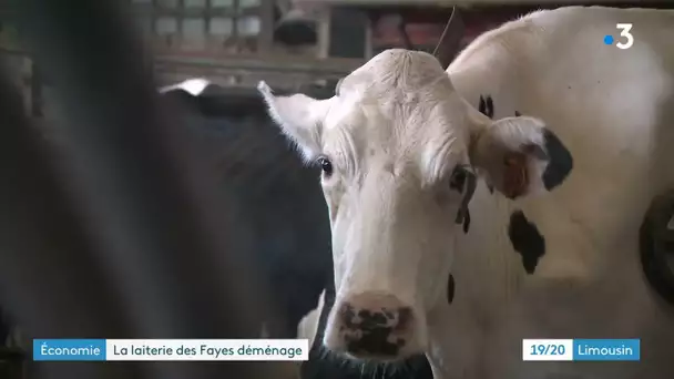 La laiterie des Fayes déménage