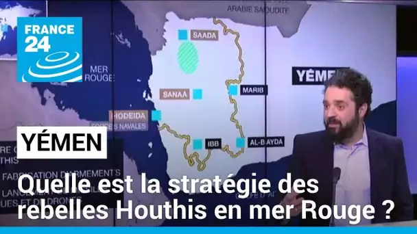 Yémen : les Houthis au cœur de l’équation de la guerre à Gaza • FRANCE 24