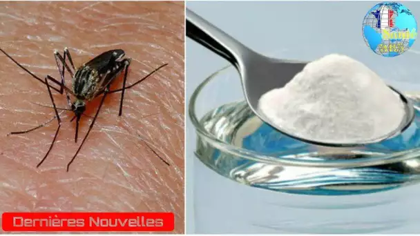 Une astuce puissante pour se débarrasser des insectes indésirables