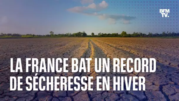 La France a connu 31 jours sans pluie, le record de 2020 est égalé
