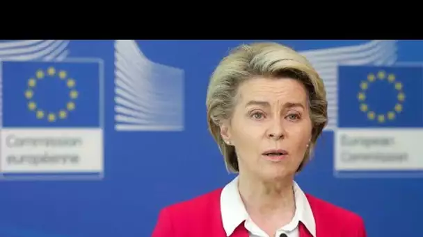 Union européenne : Ursula von der Leyen détaille son agenda de sortie de crise • FRANCE 24