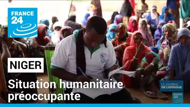 Niger : situation humanitaire préoccupante depuis la fermeture des frontières • FRANCE 24