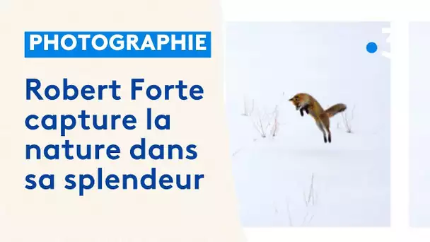 Exposition photo de Robert Forte à Nice : la nature dans sa splendeur