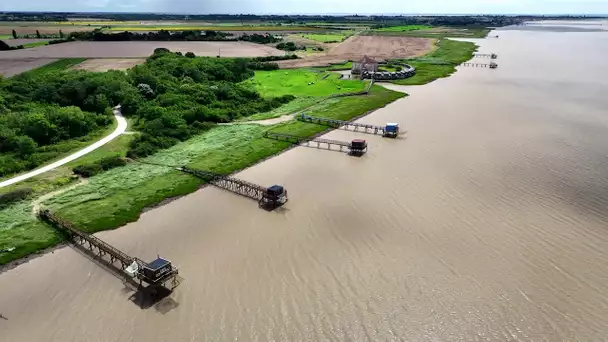 Série "Prendre l'air" :  le fleuve "La Charente"