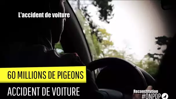 60 millions de Pigeons : l&#039;accident de voiture