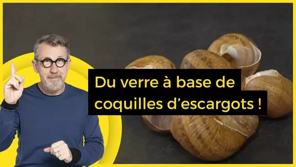 Du verre à base de coquilles d’escargots !  - C Jamy