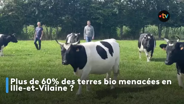 Plus de 60% des terres bio menacées en Ille-et-Vilaine ?