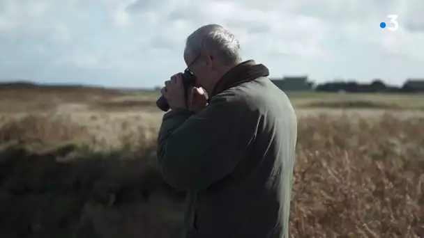 "Cocheurs", un film de Baptiste Magontier, l'ornithologie