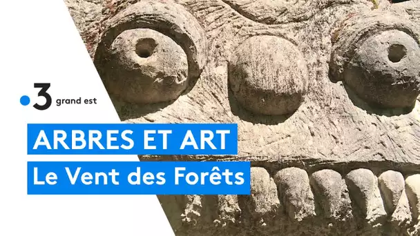 Balade estivale : le vent des forêts dans la Meuse
