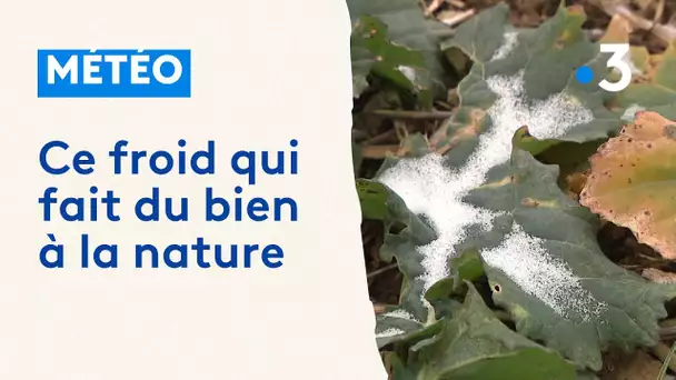 C'est l'hiver il fait froid et c'est bon pour la nature