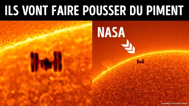 Un Cliché Unique de La Station Spatiale Internationale Passant Devant le Soleil