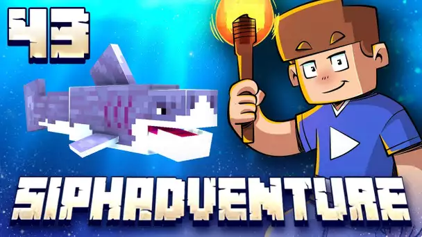 SIPHADVENTURE : L'ATTAQUE DU REQUIN GÉANT ! #43