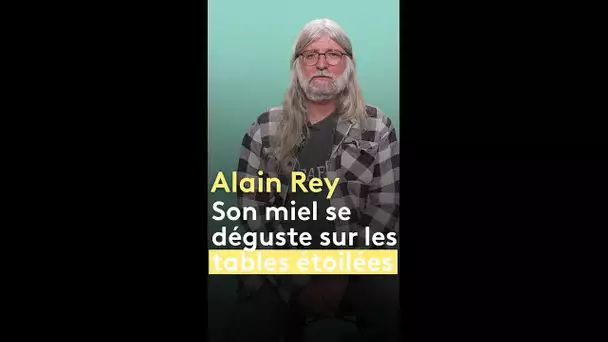 Portrait. Les abeilles d'Alain Rey produisent un miel qui séduit les chefs étoilés