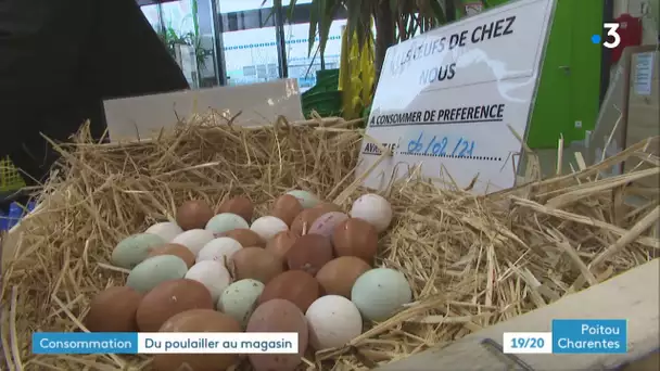 Poitiers : un poulailler accolé au supermarché permet la vente d'oeufs en direct