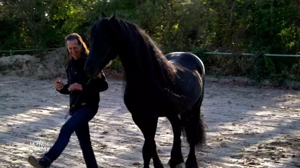 Le meilleur du Monde de Jamy - L&#039;homme qui parle aux chevaux