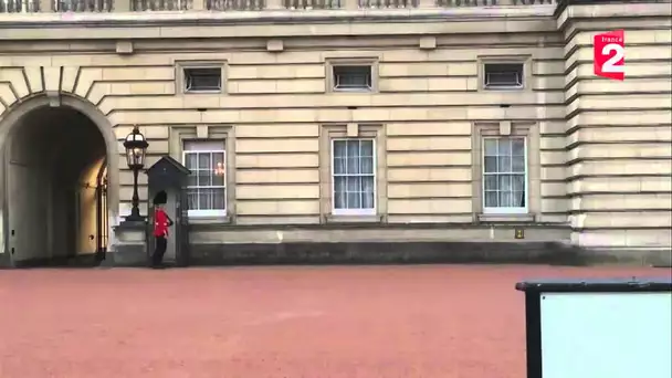 Buckingham palace mime guard