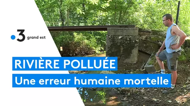 Pollution d'une rivière suite à une erreur humaine sur un méthaniseur dans les Ardennes