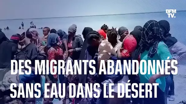 Expulsés de Tunisie, des migrants errent et meurent dans le désert à la frontière avec la Libye