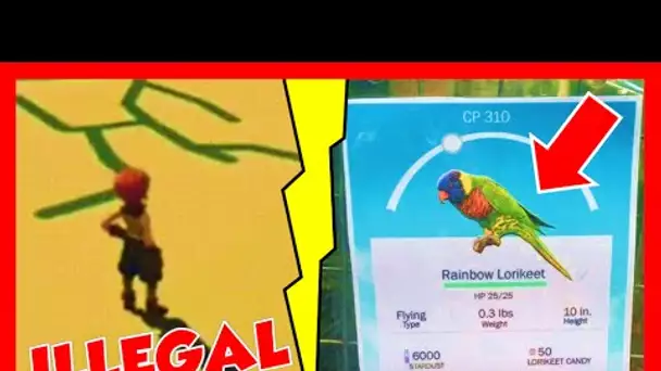 PLAGIAT ILLEGAL POKEMON GO ♦ ZOO POKEMON GO IRL - POKENEWS #16