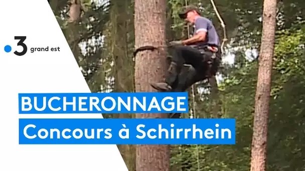 Concours de bûcheronnage à Schirrhein