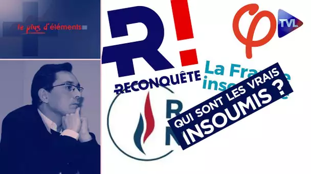 RN, LFI, Reconquête ! : qui sont les vrais insoumis ? - Le Plus d'Eléments - TVL