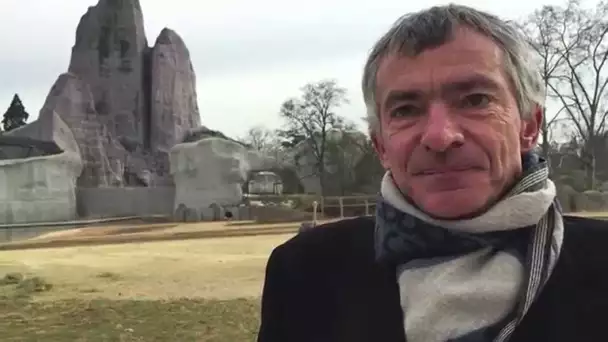 Thomas Grenon évoque les animations autour du 1er anniversaire du Zoo de Vincennes (Paris)