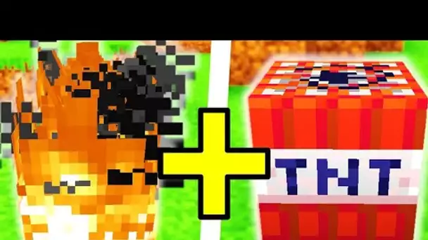 FEU + TNT = VIDEO MINECRAFT RUINEE 😭