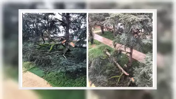 ✅  Météo chamboulée en décembre avec douceur anormale, pluie et tempêtes