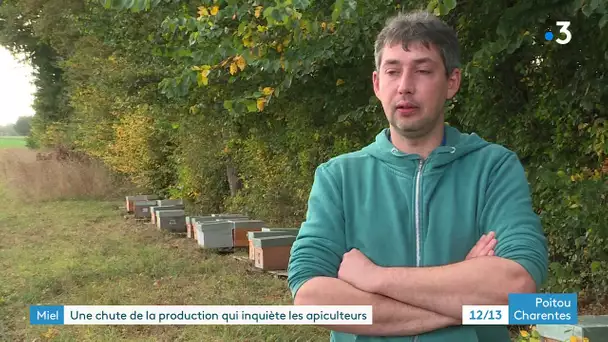 Miel : une chute de la production qui inquiète les apiculteurs dans la Vienne