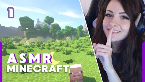 On s'installe ~ GAMING ASMR (reupload)