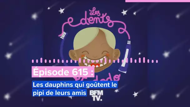 Les dents et dodo - “Épisode 615 : Les dauphins qui goûtent le pipi de leurs amis”