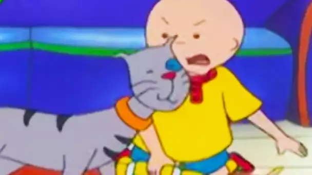 Caillou en Français | Caillou et Gilbert | dessin animé complet en francais | Caillou en Français