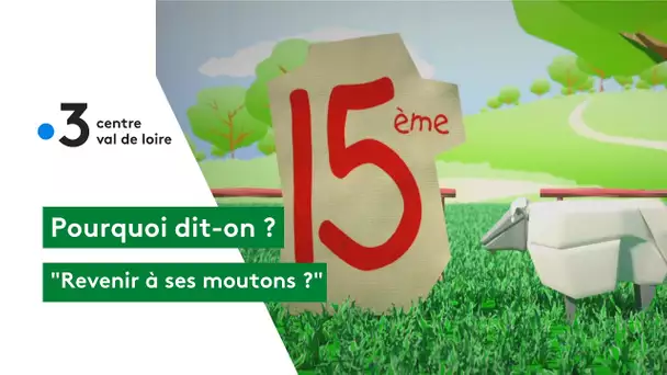 Pourquoi dit-on : revenir à ses moutons ?