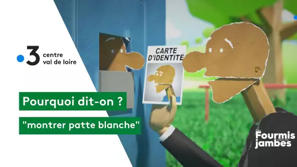 Pourquoi dit-on : montrer patte blanche !