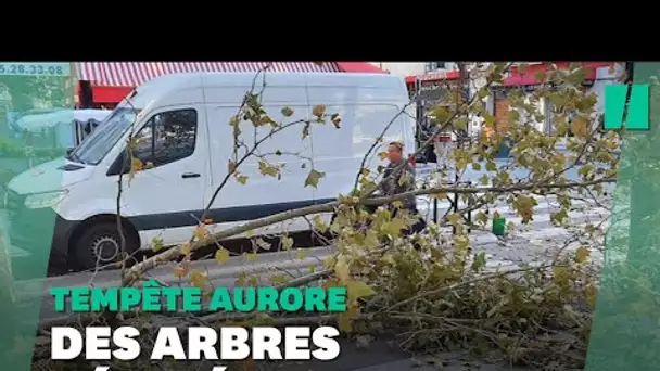 Les images des dégâts de la tempête Aurore: arbres tombés, toitures arrachées...