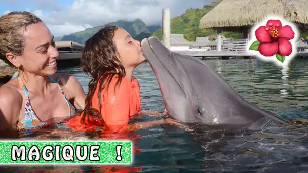 NAGER AVEC LES DAUPHINS 🐬 C&#039;est magique  / Tahiti Quest / Moorea Family Vlog / Tahiti Vlog