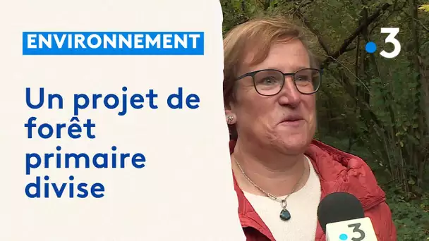 Un projet de forêt primaire fait polémique dans les Ardennes