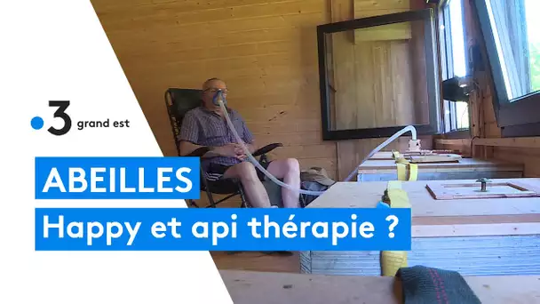 Apitherapie : respirez et soufflez l'air de la ruche