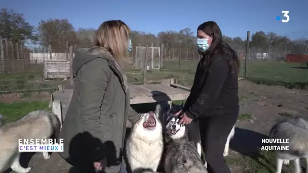 Le sanctuaire Aiseirigh : tout pour sauver les animaux