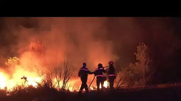 Incendies dans l'Hérault : 1.000 hectares détruits, le feu est "contenu" mais pas encore fixé