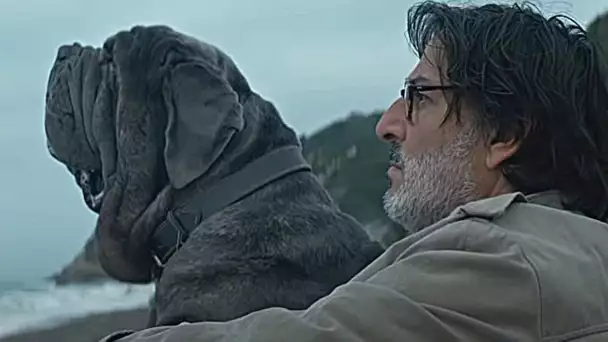 MON CHIEN STUPIDE sur Fr2 Bande Annonce VF (2019, Comédie) Yvan Attal, Charlotte Gainsbourg