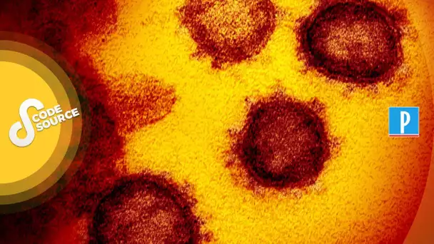 [PODCAST] « D’où vient réellement le Covid-19 ? L'origine du virus et ses mystères »
