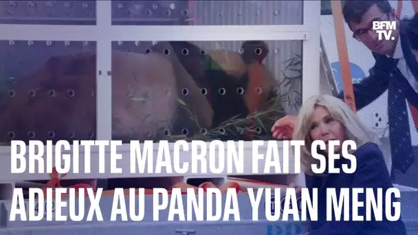 Brigitte Macron a fait ses adieux au panda Yuan Meng qui s'envole vers la Chine