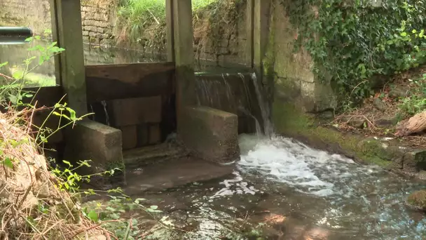 Rivière et sécheresse : le maire fait barrage à Nuaillé-sur-Boutonne en Charente-Maritime