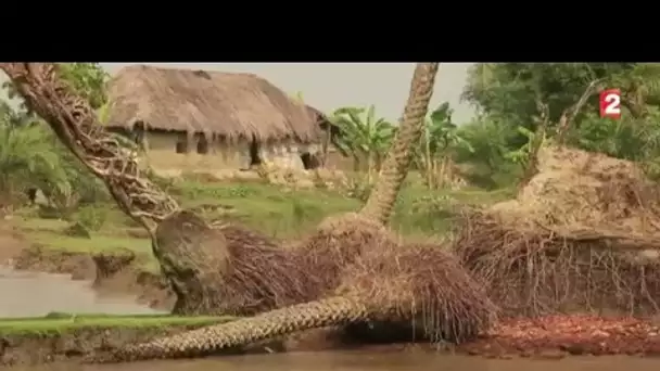 Réchauffement climatique : un archipel Indien bientôt disparu sous les eaux ?