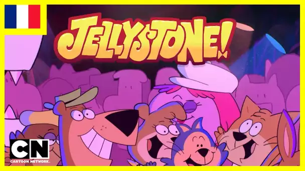 Jellystone 🇫🇷| Tout ce qu'il y a à savoir !