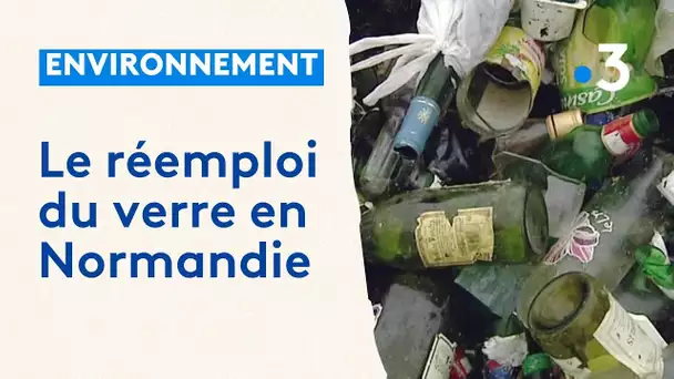 Environnement : le réemploi du verre en Normandie