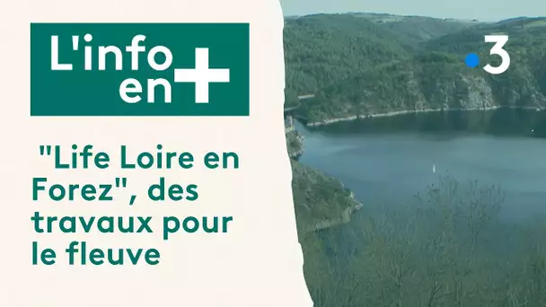 L'info en plus Climat : "Life Loire en Forez", des travaux pour le fleuve